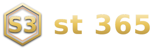 st 365 logo